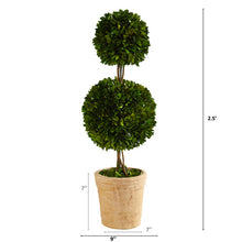 Load image into Gallery viewer, 2.5' Preserved Boxwood Double Ball Topiary Tree in Decorative Planter