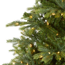 Load image into Gallery viewer, 8' North Carolina Spruce Artificial Christmas Tree w 650 Clear Lights