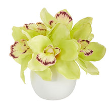Load image into Gallery viewer, 8" Cymbidium Orchid Artificial Arrangement in White Vase