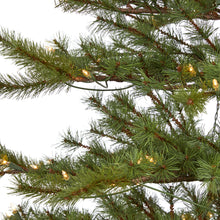 Load image into Gallery viewer, 7' Vancouver Mountain Pine Artificial Christmas Tree with 450 Clear Lights