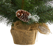 Load image into Gallery viewer, 2' Frosted Pine Artificial Christmas Tree w/ 35 Clear LED Lights