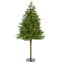 Load image into Gallery viewer, 5' Swiss Alpine Artificial Christmas Tree with 150 Clear LED Lights