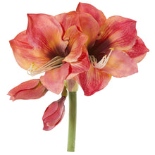 Load image into Gallery viewer, 13" Amaryllis Artificial Flower (Set of 4)