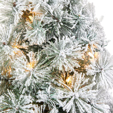 Load image into Gallery viewer, 44' Flocked Oregon Pine Artificial Christmas Tree w/ 50 Clear Lights