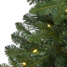 Load image into Gallery viewer, 4' Grand Teton Spruce Flat Back Artificial Christmas Tree