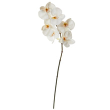 Load image into Gallery viewer, 22" Phalaenopsis Orchid Artificial Flower (Set of 12)