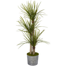 Load image into Gallery viewer, 59" Yucca Artificial Tree in Black Embossed Tin Planter