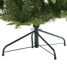 Load image into Gallery viewer, 6' Grand Teton Spruce Flat Back Artificial Christmas Tree w180 Clear LED Lights