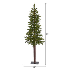 Load image into Gallery viewer, 5' Alaskan Alpine Artificial Christmas Tree with 100 Clear Microdot
