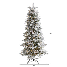 Load image into Gallery viewer, 7' Flocked North Carolina Fir Artificial Christmas Tree w550 Warm White Lights