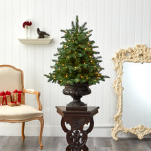 Load image into Gallery viewer, 3.5' South Carolina Spruce Artificial Christmas Tree w/ 100 White Warm Light