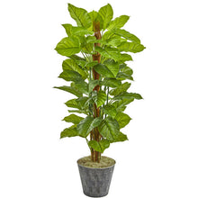 Load image into Gallery viewer, 58" Philodendron Artificial Plant in Black Embossed Planter (Real Touch)