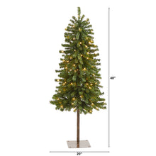 Load image into Gallery viewer, 4' Alpine Artificial Christmas Tree with 100 Lights and 260 Bendable Branches