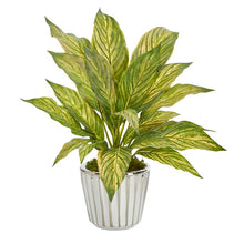 Load image into Gallery viewer, 14" Musa Leaf Artificial Plant in White Planter with Silver Trimming