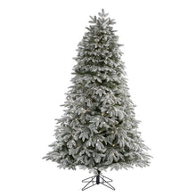 Load image into Gallery viewer, 7' Flocked Colorado Mountain Fir Artificial Christmas Tree