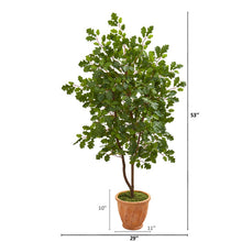 Load image into Gallery viewer, 53" Oak Artificial Tree in Terra-Cotta Planter