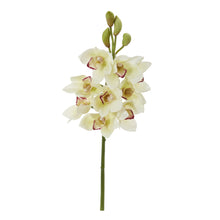 Load image into Gallery viewer, 20" Cymbidium Orchid Artificial Flower (Set of 4)