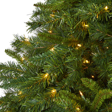 Load image into Gallery viewer, 7' Wyoming Mixed Pine Artificial Christmas Tree with 550 Clear Lights