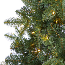 Load image into Gallery viewer, 6' Grand Teton Spruce Flat Back Artificial Christmas Tree w180 Clear LED Lights