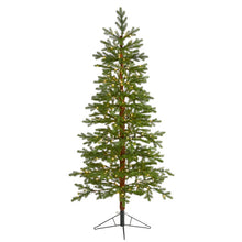 Load image into Gallery viewer, 6.5' Fairbanks Fir Artificial Christmas Tree w/250 Clear Warm LED Lights