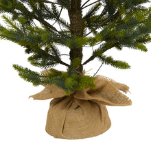 Load image into Gallery viewer, 6' Fraser Fir "Natural Look" Artificial Christmas Tree