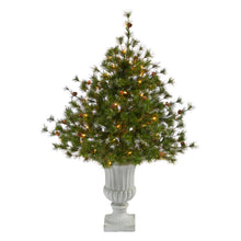 Load image into Gallery viewer, 44' Colorado Mountain Pine Artificial Christmas Tree w/ 50 Clear Lights