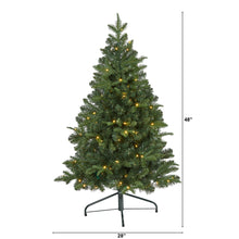 Load image into Gallery viewer, 4' Grand Teton Spruce Flat Back Artificial Christmas Tree
