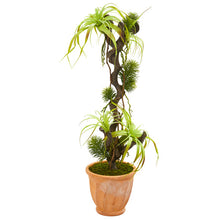 Load image into Gallery viewer, 45" Tillandsia Artificial Plant in Terra-Cotta Planter