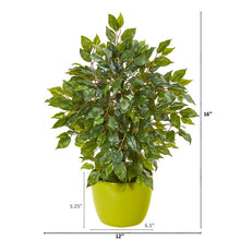 Load image into Gallery viewer, 16" Mini Ficus Artificial Tree in Green Planter
