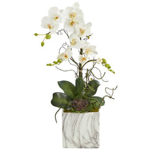 Load image into Gallery viewer, 24" Phalaenopsis Orchid and Echeveria Succulent Artificial Arrangement