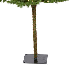 Load image into Gallery viewer, 5' Swiss Alpine Artificial Christmas Tree with 150 Clear LED Lights