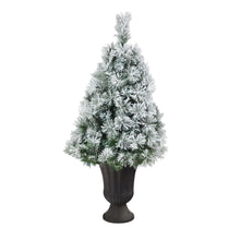 Load image into Gallery viewer, 44' Flocked Oregon Pine Artificial Christmas Tree w/ 50 Clear Lights