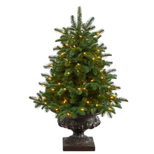Load image into Gallery viewer, 3.5' South Carolina Spruce Artificial Christmas Tree w/ 100 White Warm Light