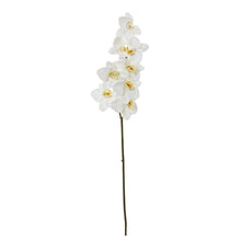 Load image into Gallery viewer, 33" Phalaenopsis Orchid Artificial Flower (Set of 6)