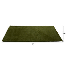 Load image into Gallery viewer, 4' x 8' Artificial Professional Grass Turf Carpet UV Resistant