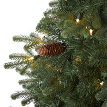 Load image into Gallery viewer, 5.5' Yukon Mountain Fir Artificial Christmas Tree with 250 Clear Lights