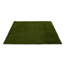 Load image into Gallery viewer, 6' x 8' Artificial Professional Grass Turf Carpet UV Resistant