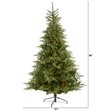 Load image into Gallery viewer, 8' North Carolina Spruce Artificial Christmas Tree w 650 Clear Lights