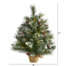 Load image into Gallery viewer, 2' Frosted Pine Artificial Christmas Tree w/ 35 Clear LED Lights