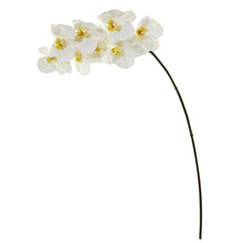 Load image into Gallery viewer, 34" Phalaenopsis Orchid Artificial Flower (Set of 6)