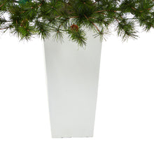 Load image into Gallery viewer, 44' Colorado Mountain Pine Artificial Christmas Tree w/ 50 Clear Lights