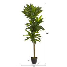 Load image into Gallery viewer, 56" Dracaena Artificial Plant (Real Touch)
