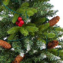 Load image into Gallery viewer, 62' Snow Tipped Portl& Spruce Artificial Christmas Tree w/ Frosted Berries