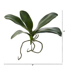 Load image into Gallery viewer, 9" Phalaenopsis Orchid Leaf Artificial Flower (Set of 6)