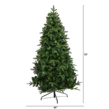 Load image into Gallery viewer, 6' Grand Teton Spruce Flat Back Artificial Christmas Tree w180 Clear LED Lights
