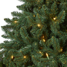Load image into Gallery viewer, 8' Northern Rocky Spruce Artificial Christmas Tree with 500 Clear Lights