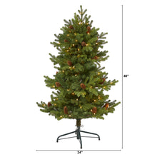 Load image into Gallery viewer, 4' Yukon Mountain Fir Artificial Christmas Tree w/ 100 Clear Lights, Pine Cones