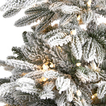 Load image into Gallery viewer, 6.5' Flocked Manchester Spruce Artificial Christmas Tree with 300 Lights