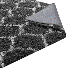 Load image into Gallery viewer, Solvea Moroccan Trellis 5x8 Shag Area Rug by Modway