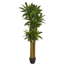 Load image into Gallery viewer, 6' Corn Stalk Dracaena Artificial Plant (Real Touch)